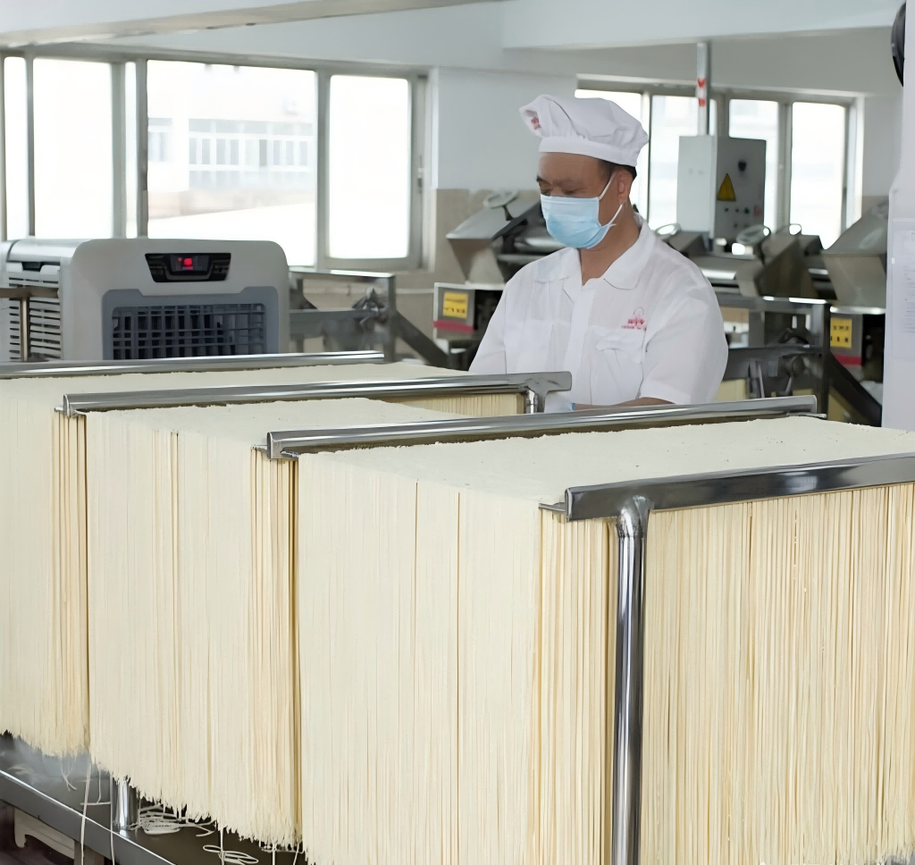steaming ramen Macarrão Ramen sendo cozido no vapor industrial na fábrica de macarrão