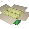 Macarrão de proteína de qualidade superior liji