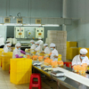 Manufatura chinesa por atacado de preço barato seco instantâneo macarrão de trigo alimentar